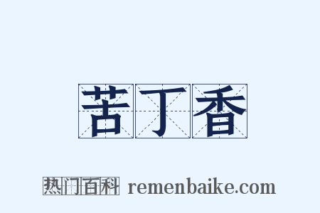 苦丁香是什么意思的图片